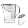 Wasserfilter Standard Grau Inkl. 3 Protect+ Filterkartuschen